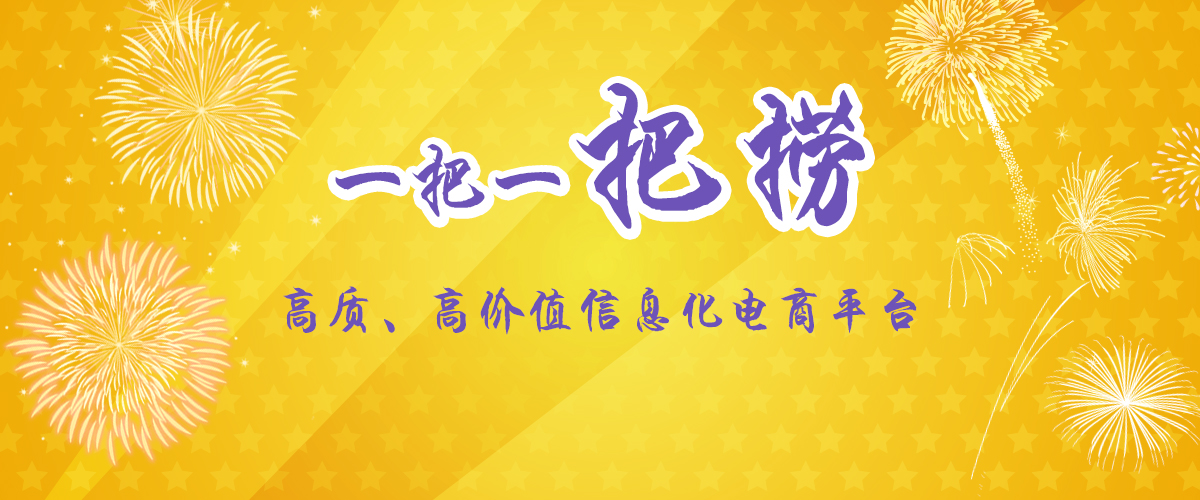 一把一把捞——高质、高价值信息化电商平台.jpg