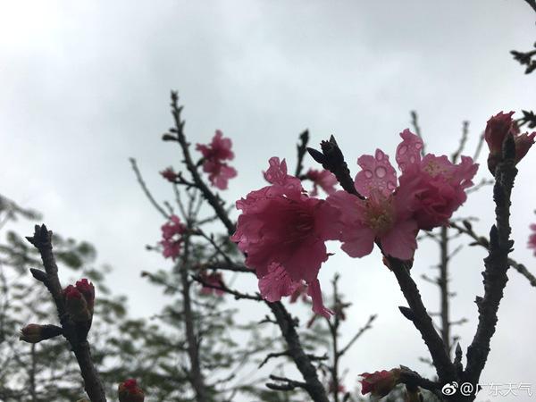 江西福建有大雨 明起冷空气影响中东部