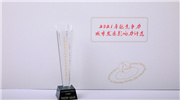 （第十九届）“中国企业竞争力年会周”圆满落幕 ――正商集团荣膺“2021年度美好生活服务商”奖项